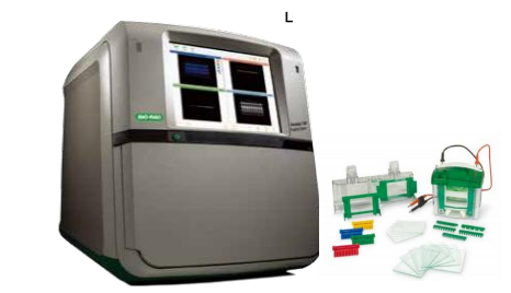 Chemidoc Mp pro 全自動western系統